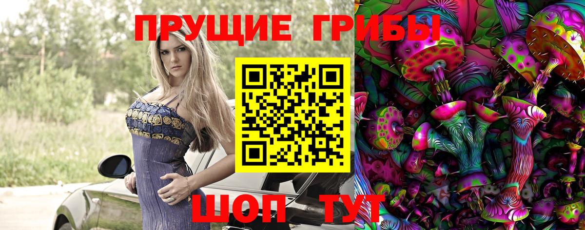 Псилоцибиновые грибы мицелий Ейск
